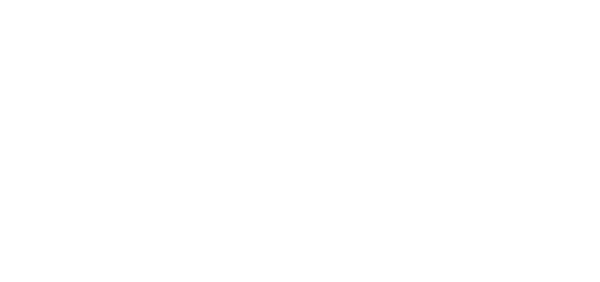FatBoy - CAS - Conveyor Application Systems  